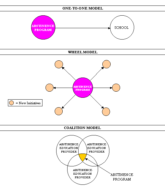 Figure 1. Models of Organization Among Section 510 Abstinence Education Programs.