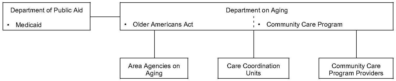 Organizational Chart: Illinois Organization of Community Care Services