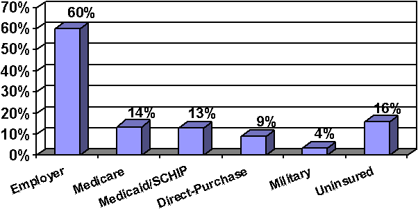 Figure 1. Sources of Insurance Coverage in 2004.