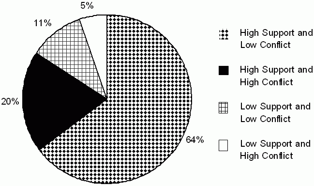 Figure 1. Marital Quality Profile Distribution. See text for explanation.