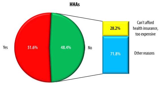 Pie Chart: HHAs -- Yes (51.6%), No (48.4%). WITHIN NO -- Can't afford health insurance, too expensive (28.2%), Other reasons (71.8%).