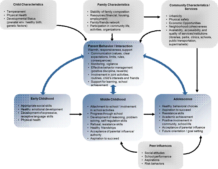 Exhibit 1 is a visual representation of the aspects of the individual child, his or her family and the community in which s/he lives that influence parental behaviors.  In turn, the exhibit shows the links between those parental behaviors and interactions with children and children’s development in early and middle childhood and adolescence.  Child characteristics.  The first box suggests characteristics of the child that, from early in the child’s life, shape parental responses.  These include: the child’s temperament, physical health and developmental status. Family characteristics.  The second box lists aspects of the family that influence parental behavior, including: the composition of the family unit and its stability over time; economic resources (parental employment status, the adequacy and stability of the family’s housing arrangements and financial status); the extent to which the family has a supportive network of family and friends; and the family’s participation in community life. Community characteristics and services.  The third box lists aspects of the community in which the family lives that influence parental behavior both directly and indirectly (through their influence on the family’s economic resources and connectedness). These include: urbanicity (which may imply more services and opportunities but also reduced safety); physical safety; economic opportunities; and the availability/accessibility and quality of services and institutions (e.g., libraries, parks, clinics, schools, public transportation, supermarkets). Arrows link each of these boxes to a box in the center of the diagram, labeled “parental behavior and interactions”.  In addition, an arrow in both directions links family characteristics and community characteristics, suggesting that each influences the other. Parental behavior/interactions with children.  At the heart of the diagram are the parental behaviors and interactions with children that the research cited earlier identifies as important and continuing predictors of children’s healthy development. These include: warmth, responsiveness and support; clear communication of values, rules, expectations and consequences; careful monitoring of the child’s behavior and activities; effective and positive discipline; involvement in activities with the child, and in family routines, and awareness of the child’s interests and friendships; and support for learning and school achievement. These behaviors, although they may be expressed differently as the child grows and develops, exert an influence on children from the earliest years, through middle childhood and adolescence. In the diagram, three arrows link the box containing them to the three boxes that represent these three major stages of children’s development. Early childhood.  This box identifies the aspects of early development that are influenced by positive parenting. In early childhood, children exposed to positive parental behavior and interactions demonstrate appropriate social skills and healthy emotional development.  They also develop expressive and receptive language skills and are physically healthy (for children with chronic health or developmental problems, this would mean that their health status is stable and their medical needs are met). Middle childhood.  This box represents the early school years and includes: positive attachment to school and involvement in school activities; progress through school; development of reasoning, problem-solving and self-regulation skills, as well as of refusal and negotiation skills that help them avoid risky behaviors and negative peer influence; health friendships; the acceptance of parental influence and authority; and aspirations to succeed in school. Adolescence.  This box represents the later school years, as the child achieves increasing autonomy and transitions to independence.  Here positive development includes: healthy behavioral choices; continued aspiration to succeed; the skills needed to resist negative influences; academic achievement; positive involvement in the life of the school and the community; acceptance of parental influence and authority; orientation to the future and the ability to set goals. In addition to the arrows that link parental behavior to each stage of the child’s development, arrows link early childhood to middle childhood and middle childhood to adolescence, reflecting the reality that each stage of development provides the foundation for the next.  In addition, an arrow links community characteristics to adolescent development, reflecting the fact that, as children move beyond the family circle, the services and resources available to them influence their behavior and development in adolescence. Peer influences. A final box is liked by arrows to development in middle childhood and adolescence and acknowledges the influence of peers on that development. Peer influences include: their social attitudes; performance in school and aspirations for the future; and the risk behaviors in which they engage. 