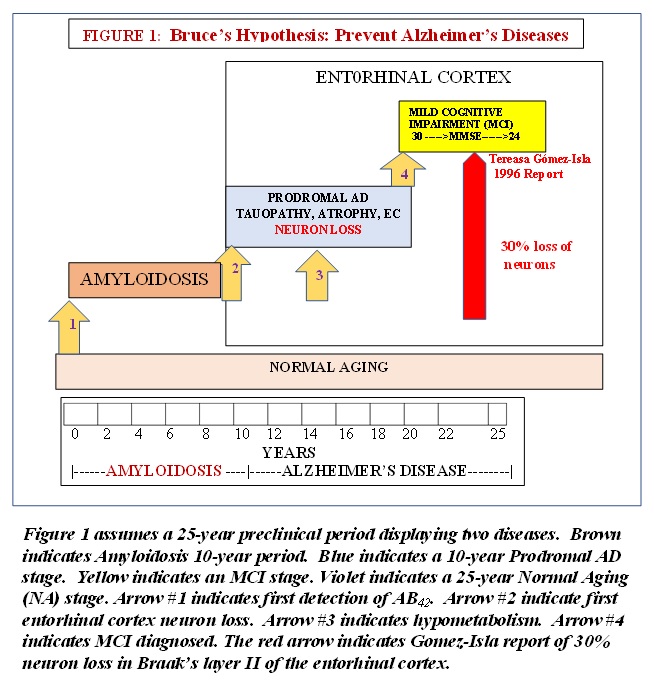 Figure 1, hypothesis, added into email by author.