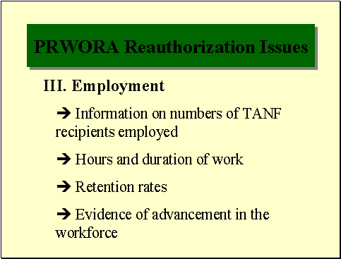 PRWORA Reauthorization Issues