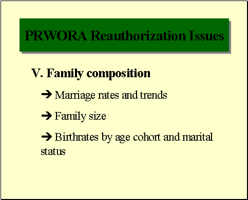 PRWORA Reauthorization Issues