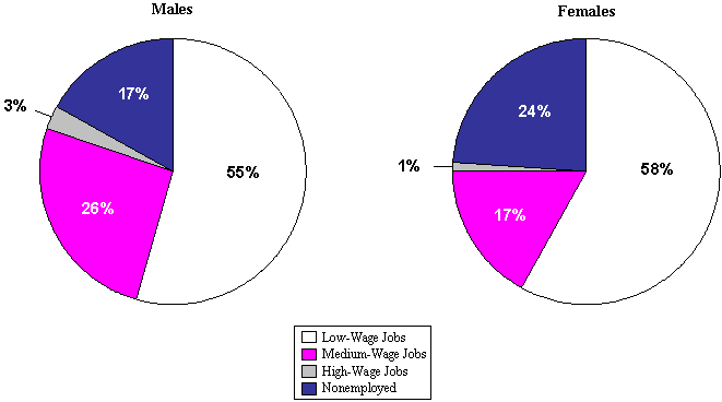 Figure Iv.6 Average Percentage Of Months Spent In Labor Market Activities For Low-Wage Workers, By Gender