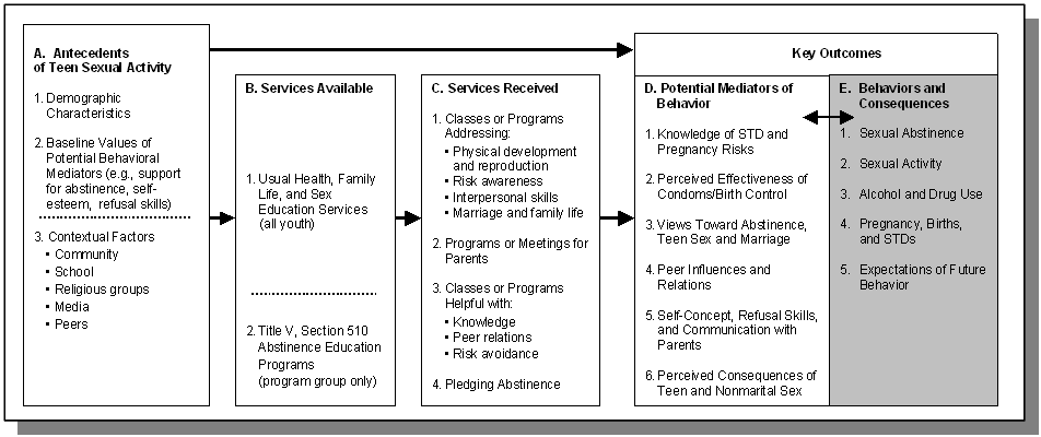 Logic Model for Evaluating the Impact of Title V, Section 510 Programs. See text.