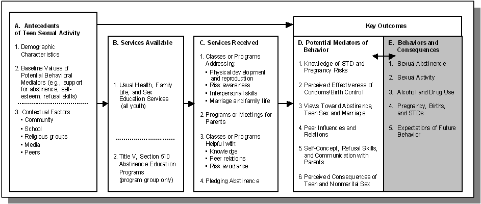 Logic Model for Evaluating the Impact of Title V, Section 510 Programs. See text for explanation.