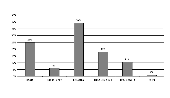 DISTRIBUTION OF FOUNDATION DOMESTIC SPENDING BY SECTOR     IN 2006